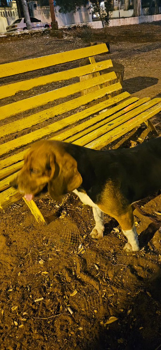 Javier Mendoza tweet media