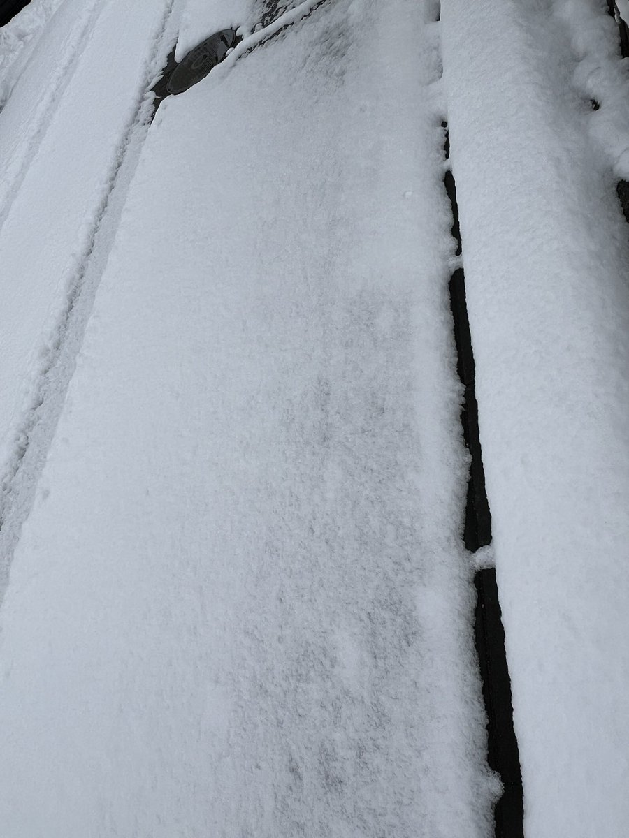 Heavy snow warning in effect ☃️ About 20 cm has piled up already