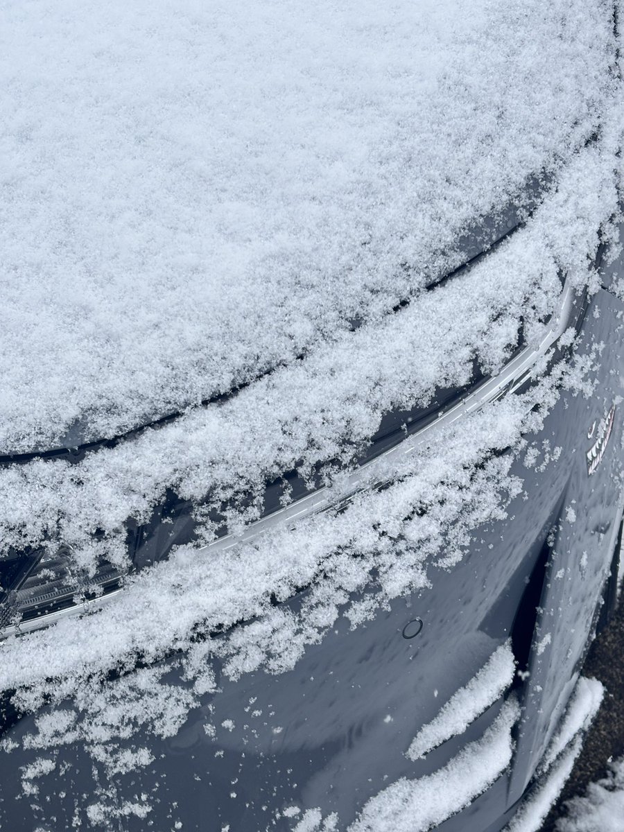 寒い🥶