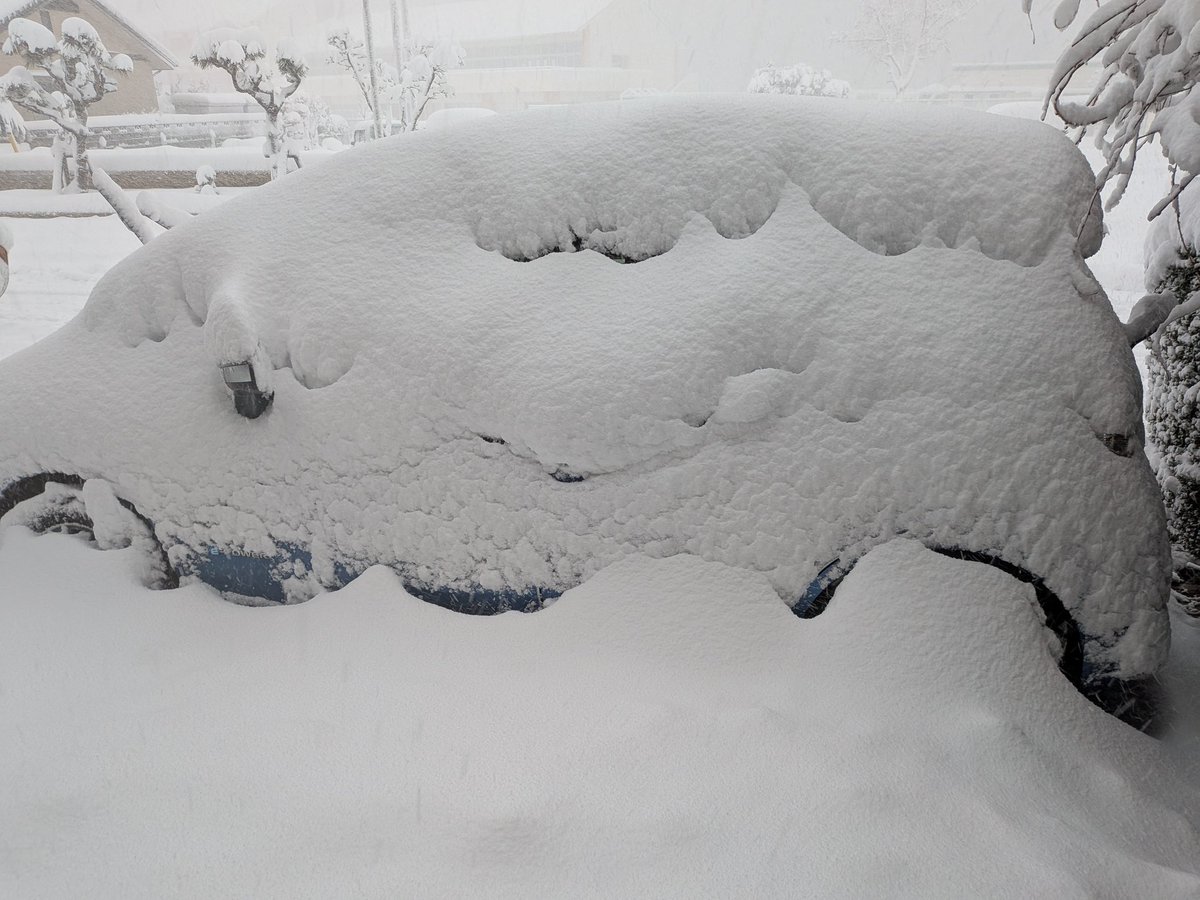 bluecoffee0429's tweet photo. さてどこから雪かきして車を助けるべきかな？w https://t.co/pya7p3M585