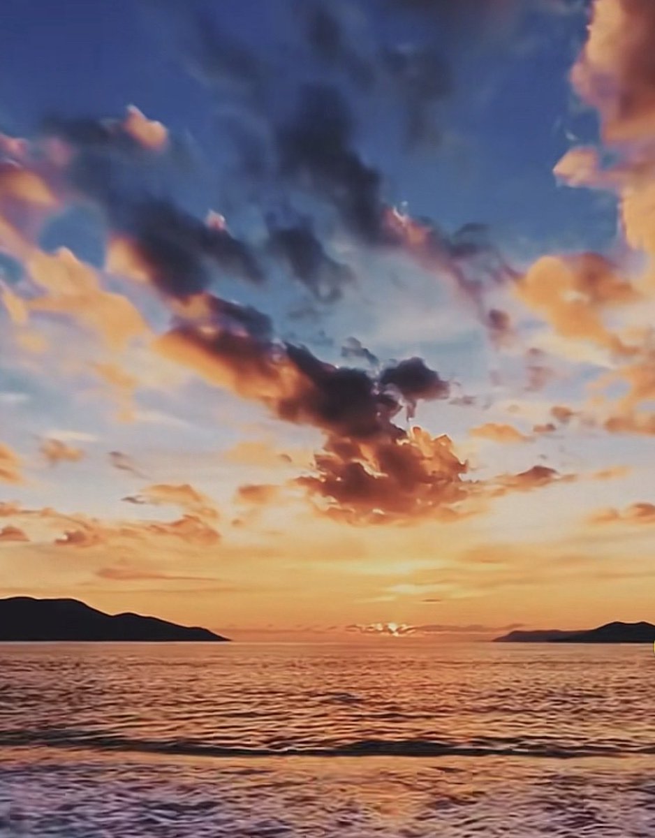 Kevin Guy tweet media