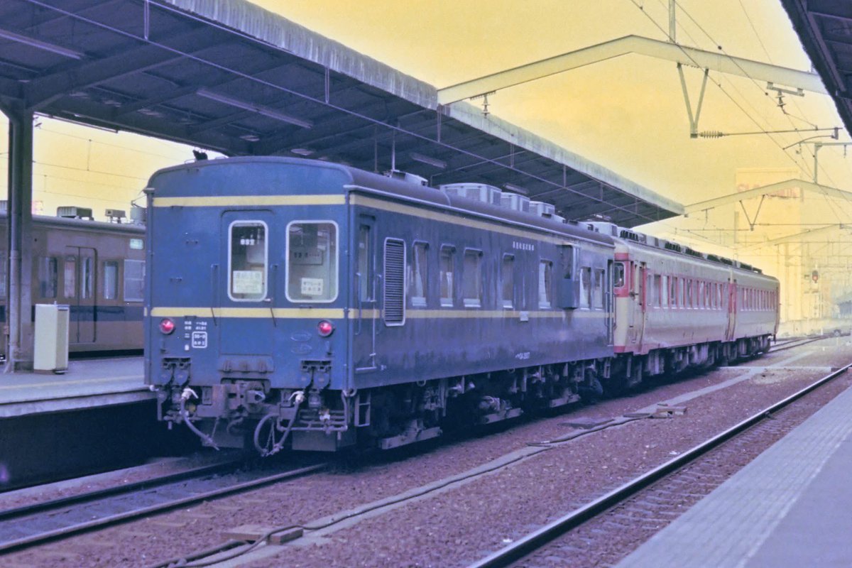 雄岳急行(ﾕｰﾀﾞｹｷｭｰｺｰ) (@onlyyou_express) / Posts / X