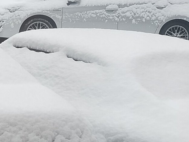 東京にしては積もった。今日も次女は美大受験。

なのにあいつ雪用の手袋持っていきやがった。美大に何しに行く気だろう🤯