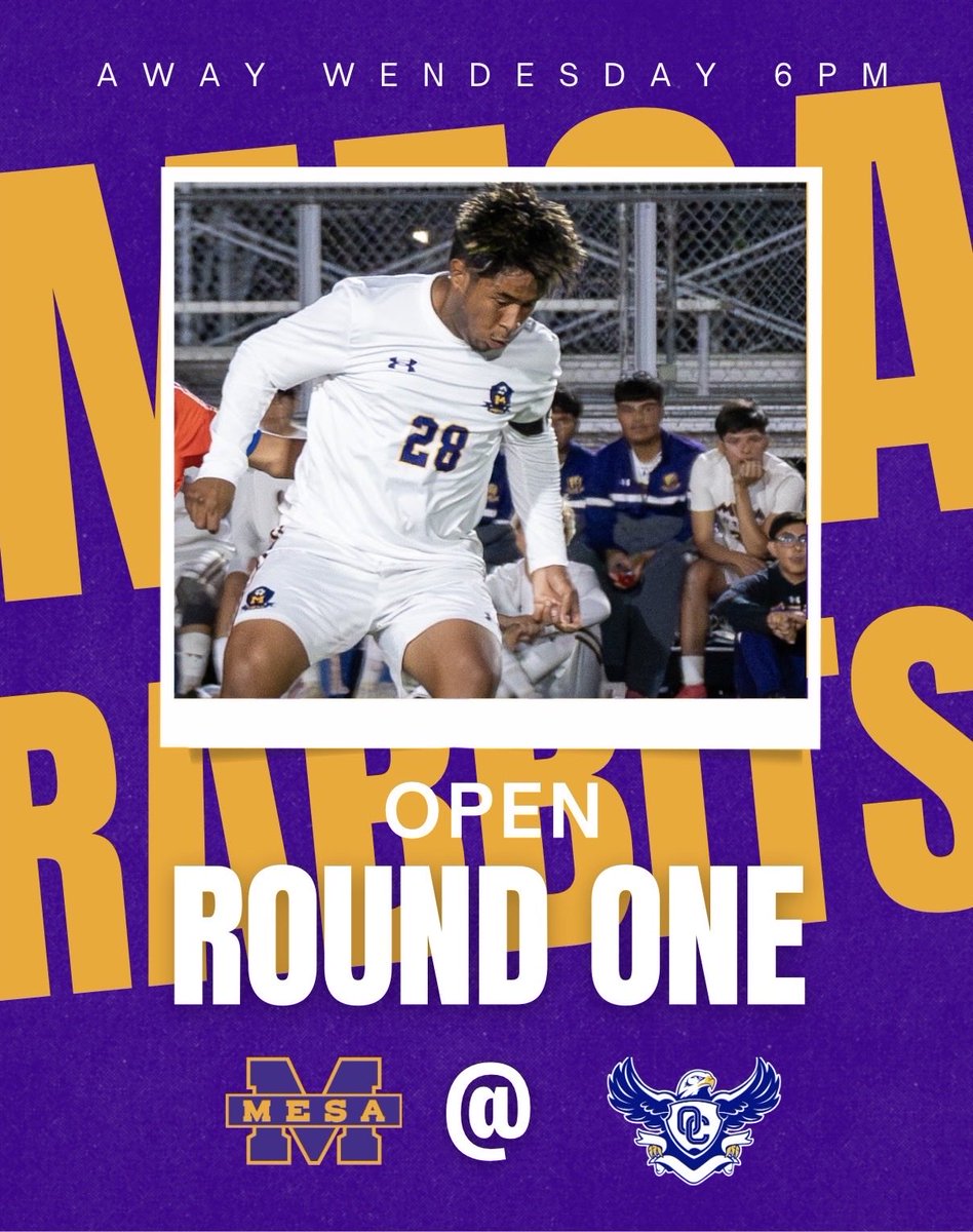 MPS NEXT tweet media