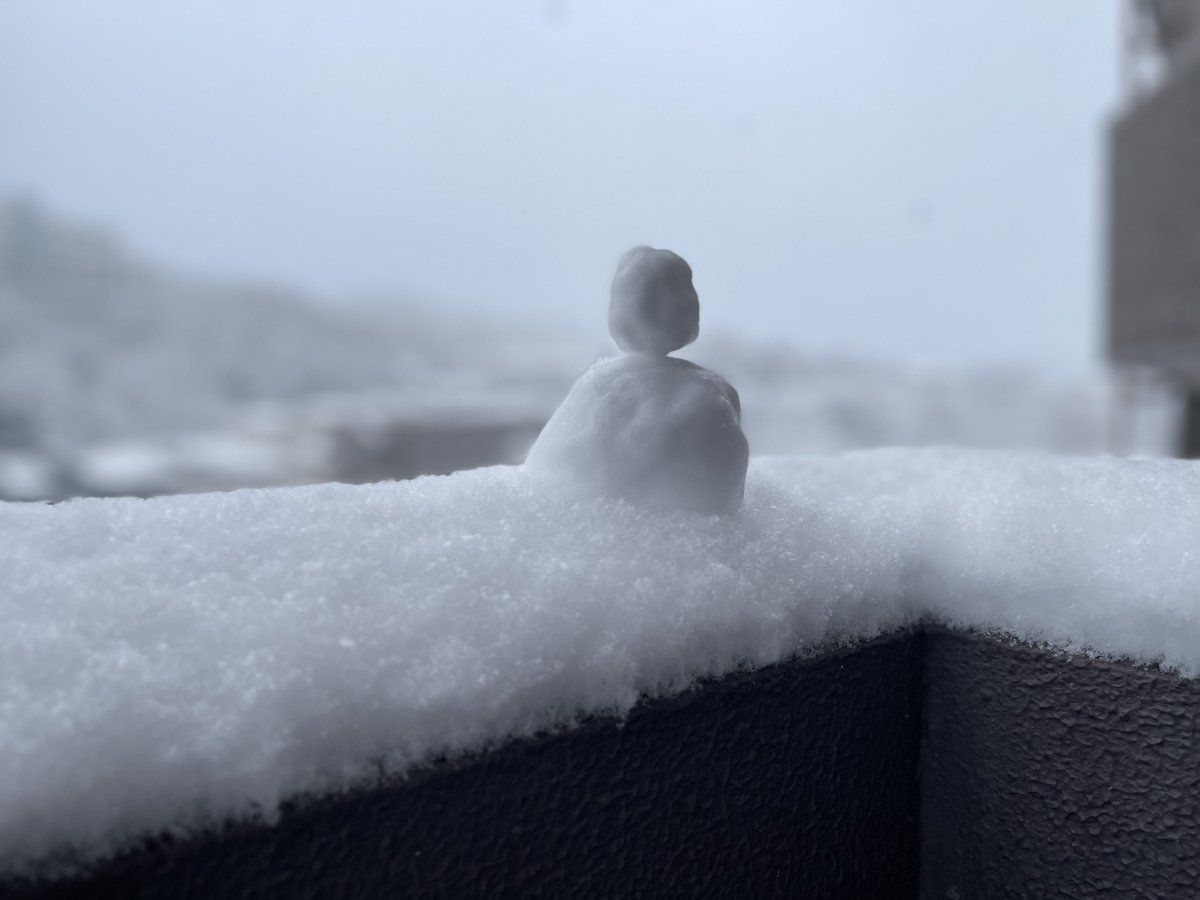 masacookie's tweet photo. 【本日ヤングオート臨時休業のお知らせ】

朝起きたらかなり積もっててビックリ☃️

今もガンガン降っており午後は天気回復予報ですが雪が残ると思われるのでヤングオートは本日臨時休業させて頂きますので宜しくお願い致します🤲 https://t.co/XMbFbBU8wE