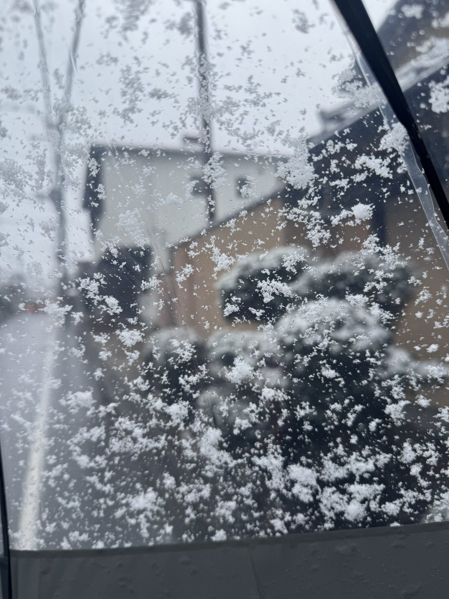 420choco's tweet image. 庭が川瀬巴水みたいになってた
出勤時吹雪さむい
前から不動産屋みたいなおっさん歩いてきたな〜と思ってたら同僚だった