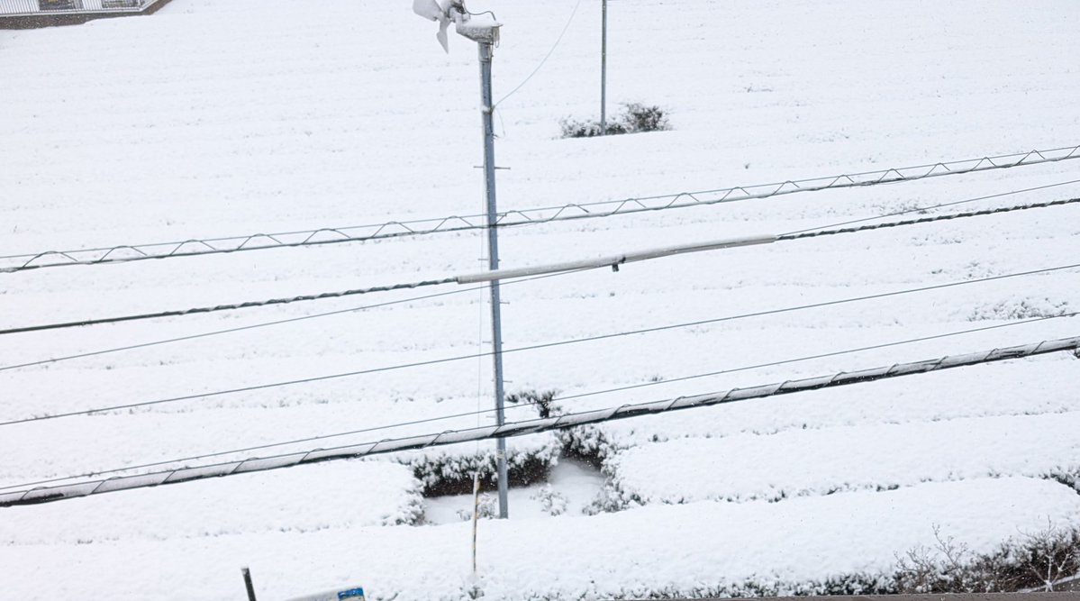 今日の茶畑の街は、雪化粧です。
5cmは積もってる感じ。
期日前投票しておいて良かった~。😅