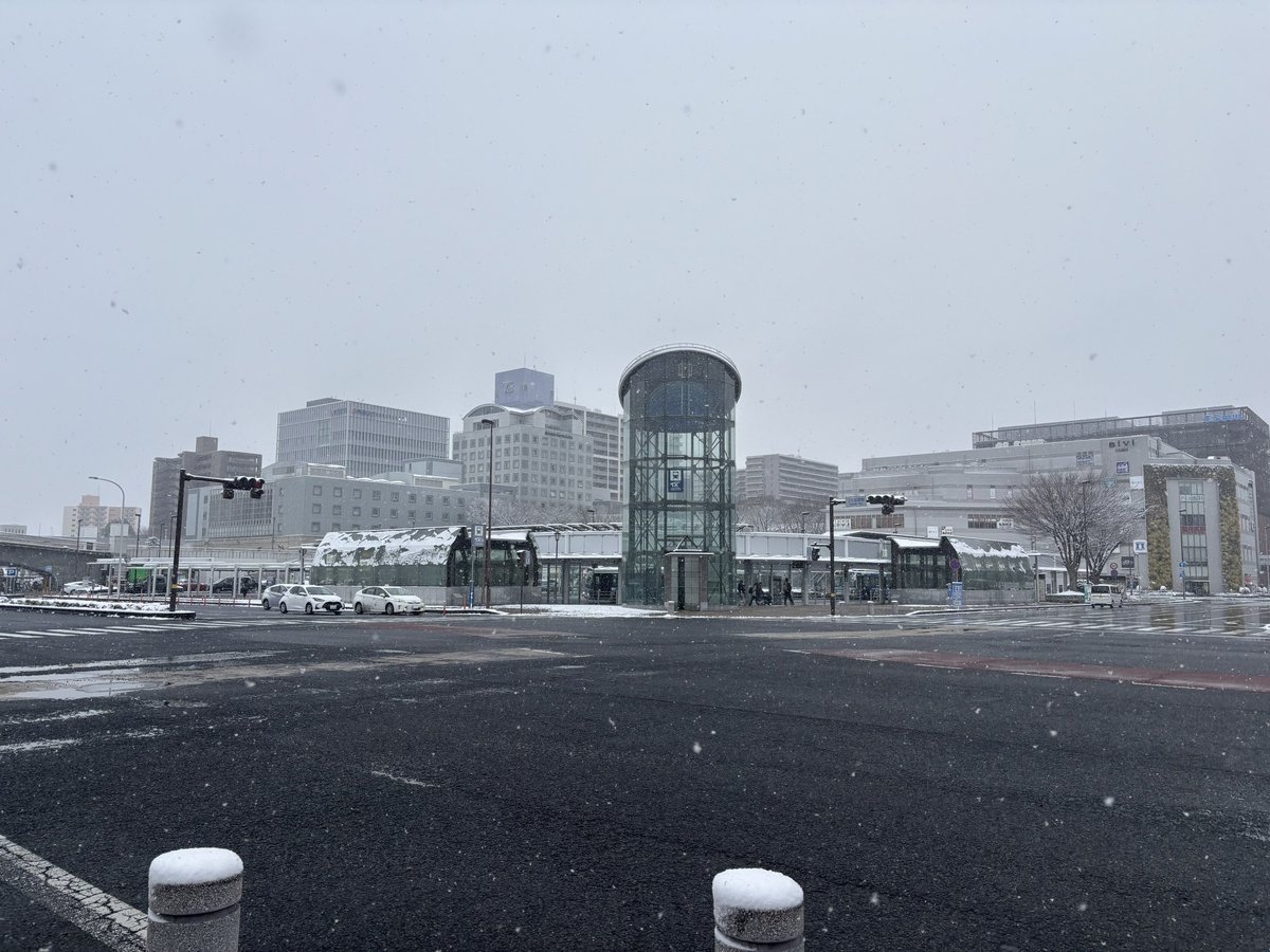 bikki4152's tweet photo. つくばにしては降ってますね https://t.co/jmIQntoSsR