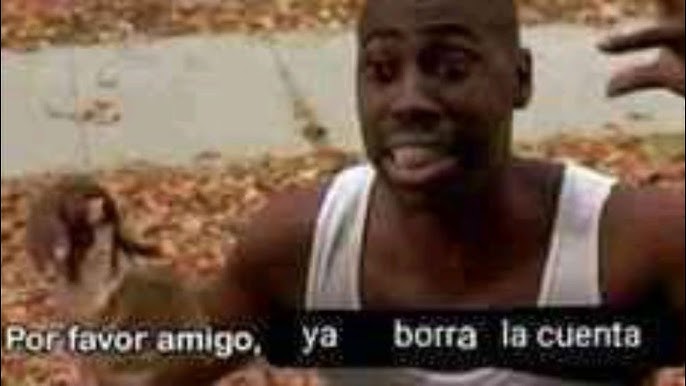 Lo vi todo tweet media