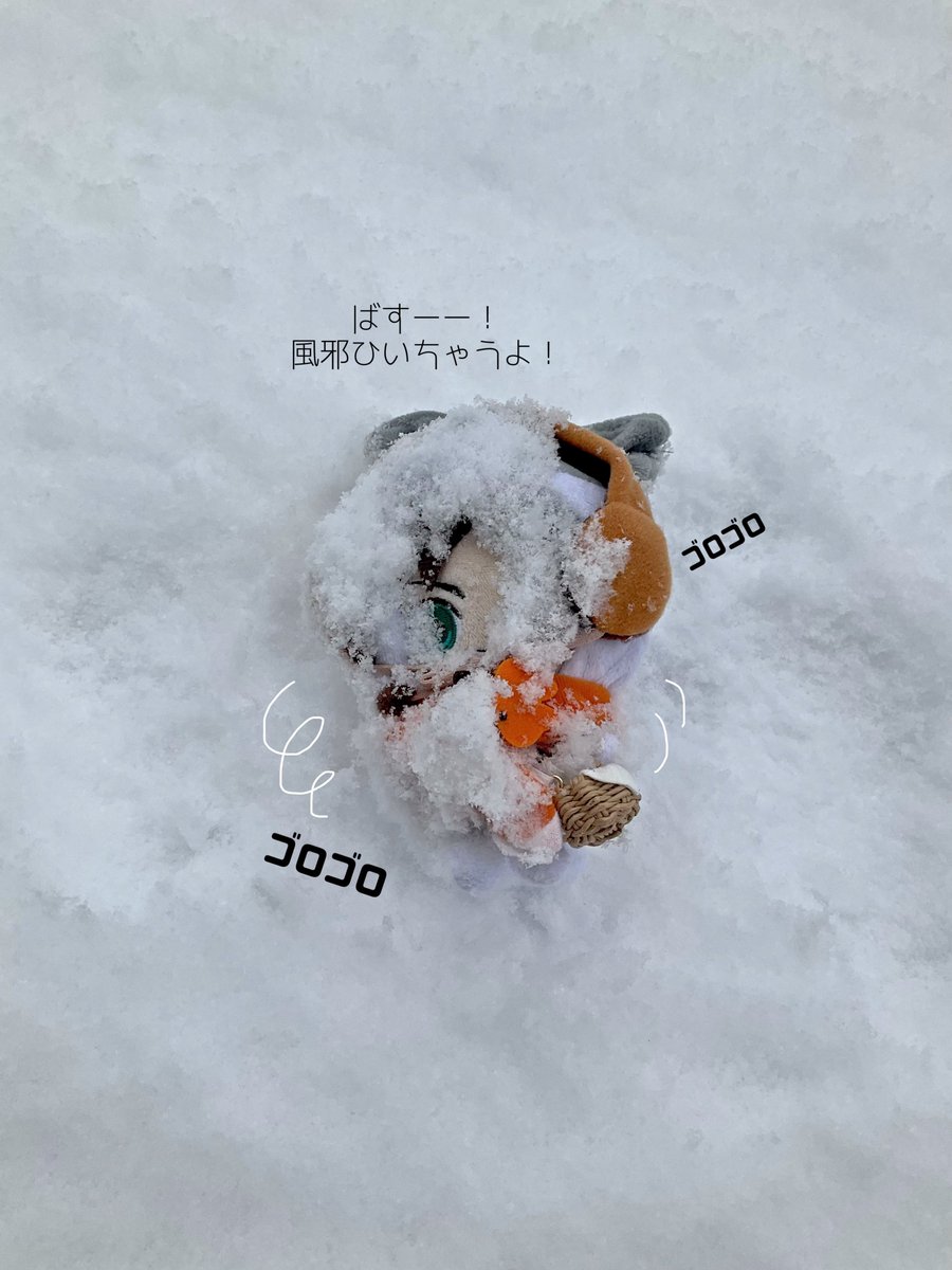 ばすが楽しそうでよかった…