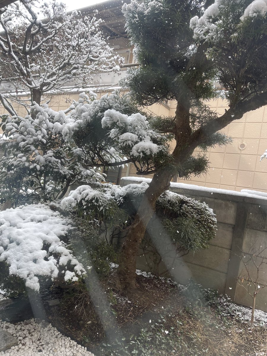 Tsubasa_bq's tweet photo. 東京3日間最終日

KOTAROが遠征する先は全部雪になります。 https://t.co/s1LuwBZUV5
