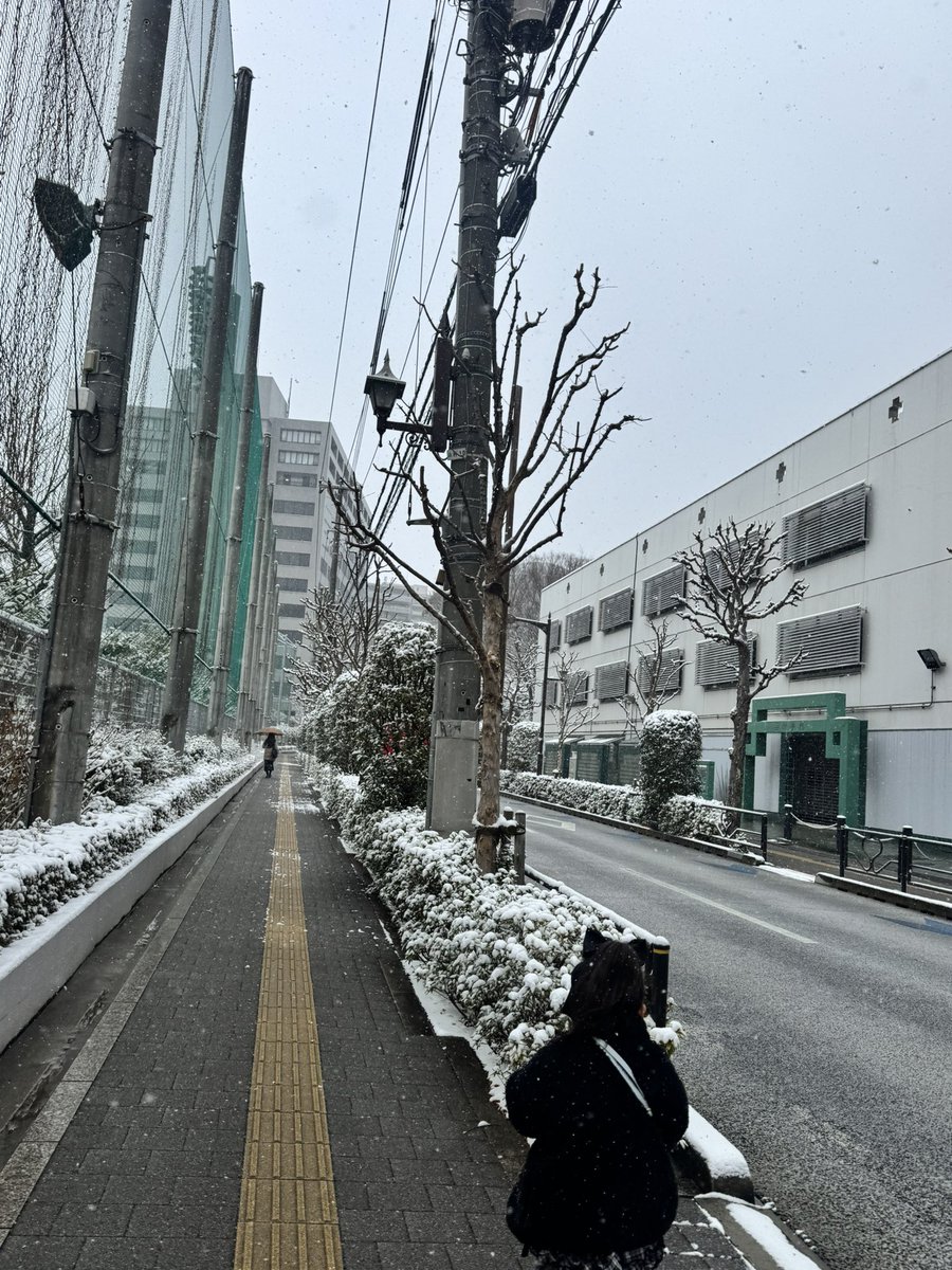 adertae's tweet photo. 東京って��降らんのんじゃないっけ、
飛行機欠航なって帰れんし🥺 https://t.co/wzGldDlL8c