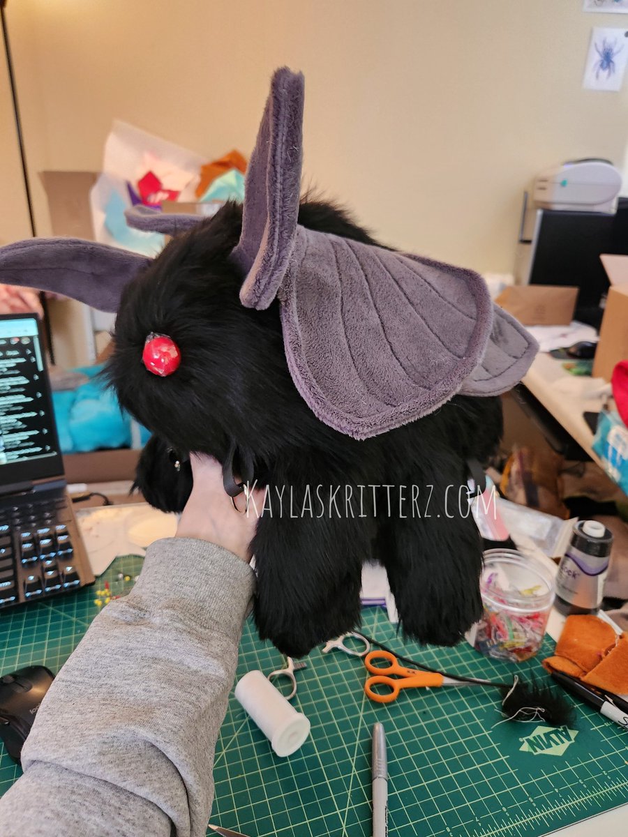 kaylaskritterz tweet media