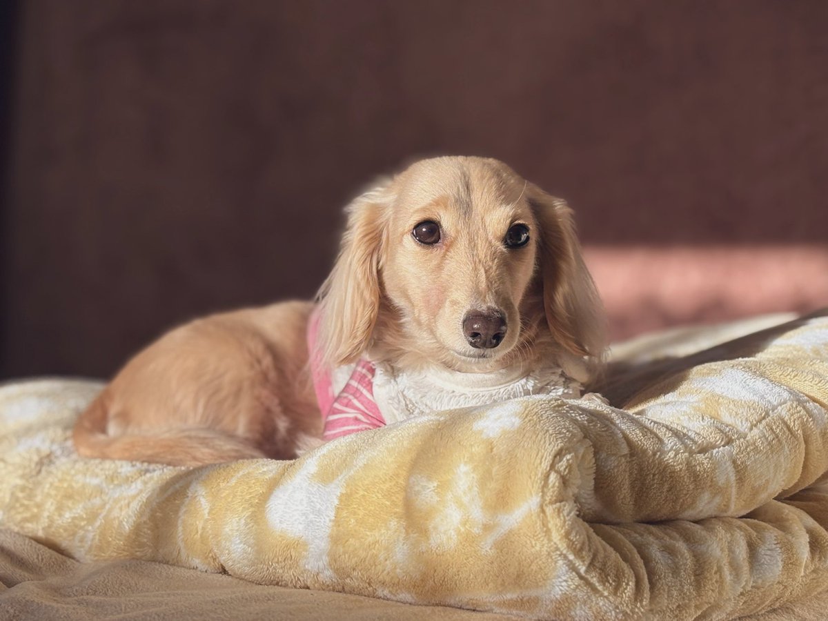 そると🧂 tweet media