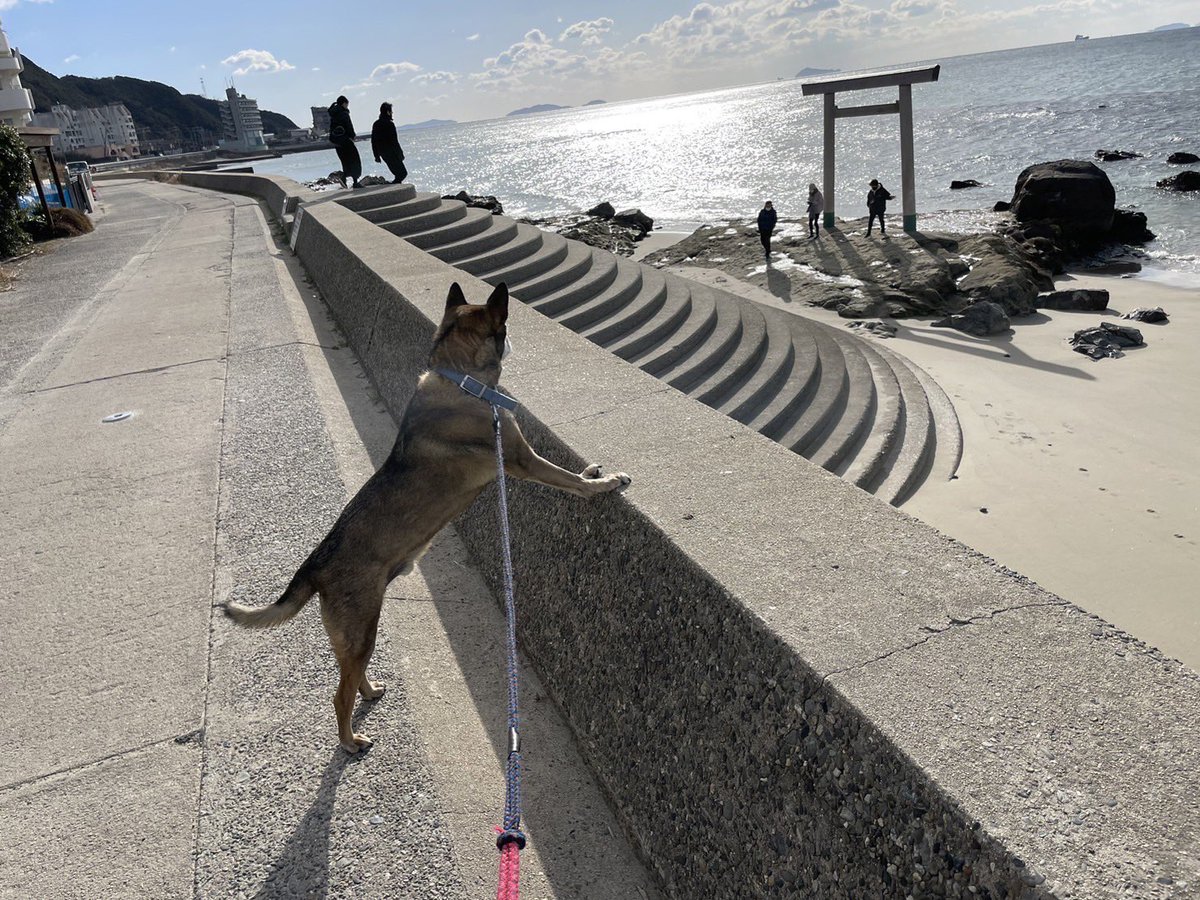 IKE (@ike1984official) / Highlights / X