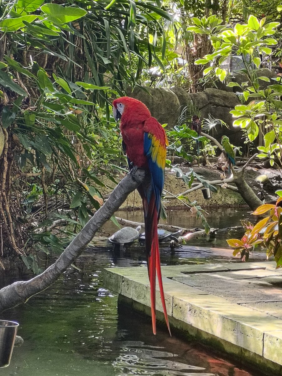 i might as well pack it up, i'm not going to take a better picture than this