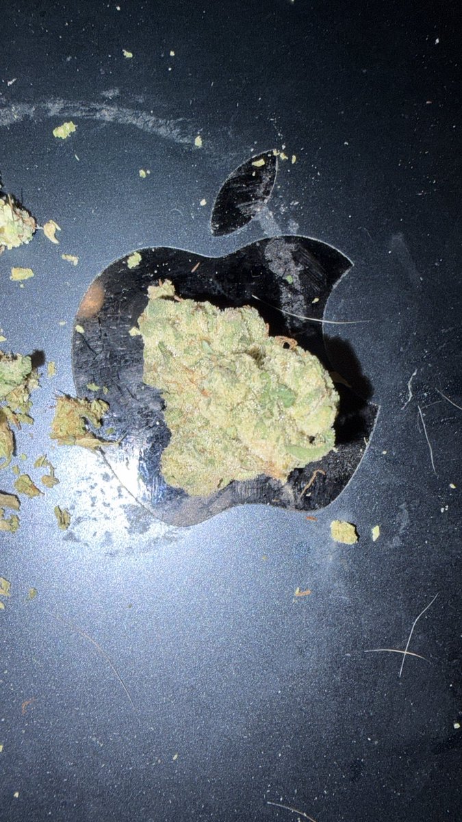 ShawnieSwisher's tweet image. Oxycontin in my
system, man, I'm feeling kinda strange
these v cuts shmacking first time trying em
#GHSP #SLUMPED #SMOKEDATSHIT