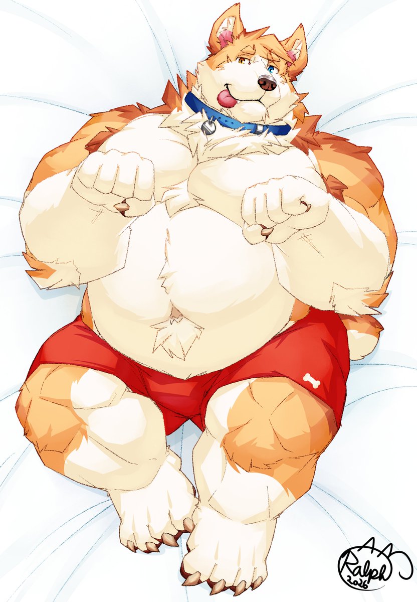 Best way to a good boi's heart is through some quality belly rubs~ Happens that Cody thinks he's a good boi and presents his corgi belly for one, despite his previous mischiefs~! Perhaps it would help if he wasn't giving off such risqué looks~ #furry #furryart #oc #anthroart