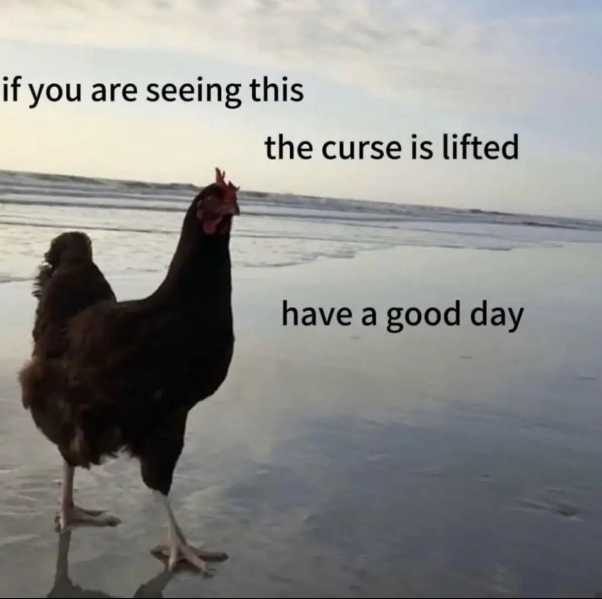 ShitpostGateway (@shitpostgate) on Twitter photo 
