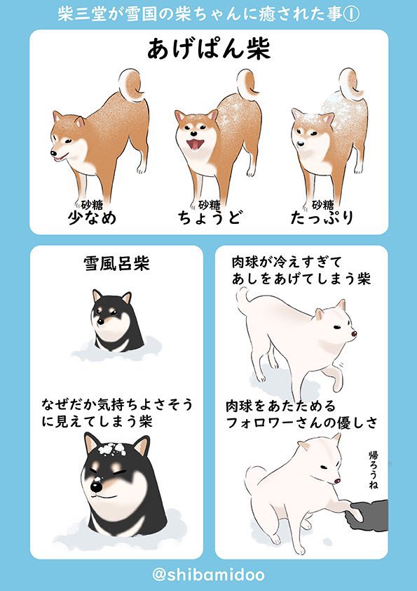 雪だー！柴だー！
今年も癒されています❄️