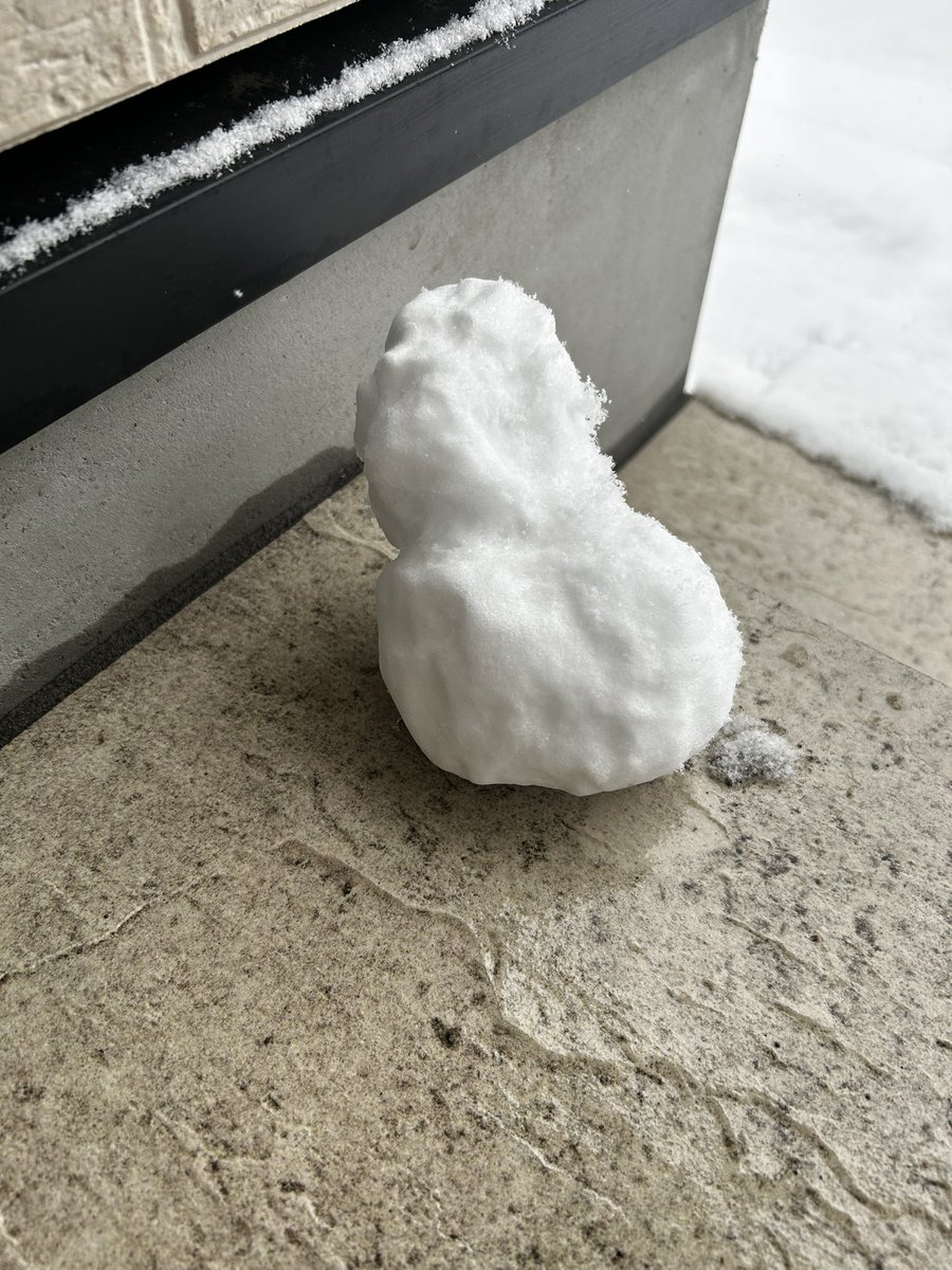 庭に雪が積もったので雪だるまを作った。冷たかった。素手でやってはいけない(戒め)