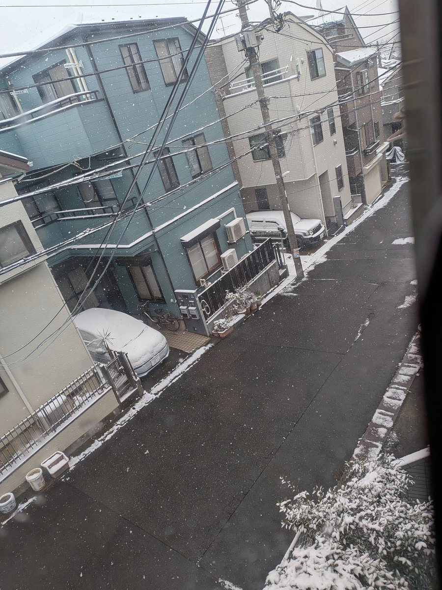 しっかり積もっとるー❄⛄️