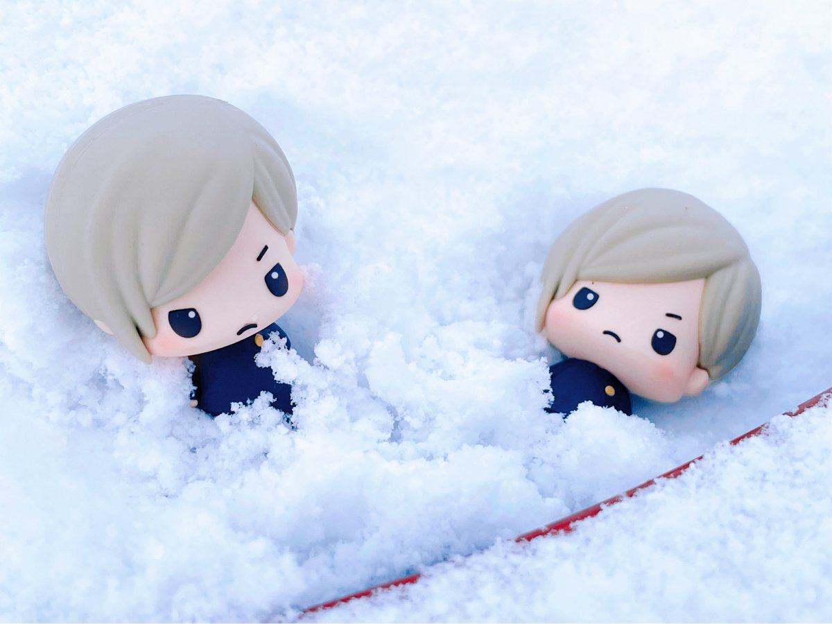 可愛い雪の🧚たち💛
(今年初の積雪)