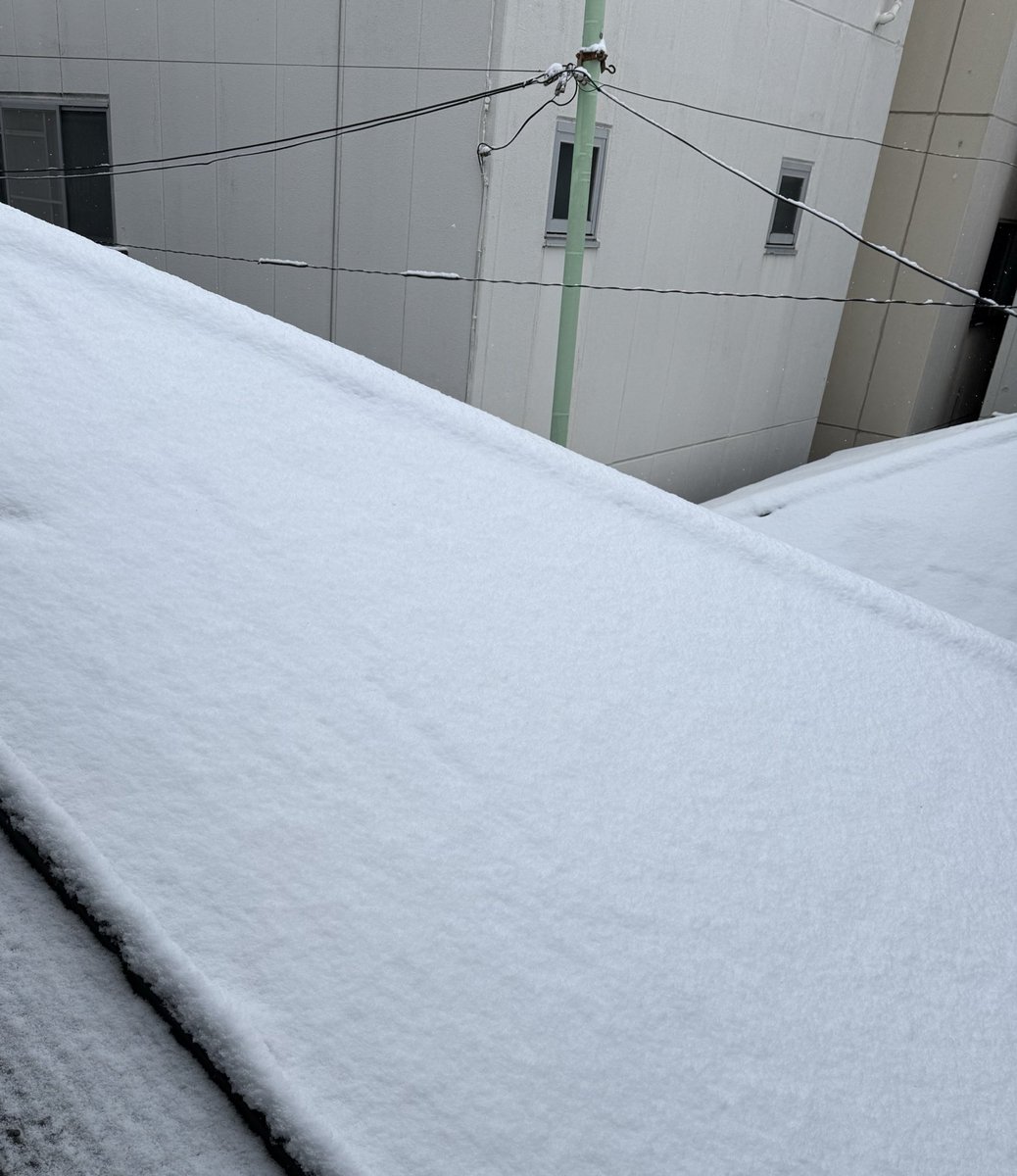 progre1991's tweet photo. #Liella_7th_神奈川Day2
さっき起きたら寒過ぎて、
東京下町
窓から外見たら屋根に雪❄️積もっててワロタ😅
関西の方も雪降ってるみたいですね😱

さて
オタクはこの程度
無問題なので
朝風呂入って準備して
新横浜目指しますか😅 https://t.co/5JW4pKyZRt