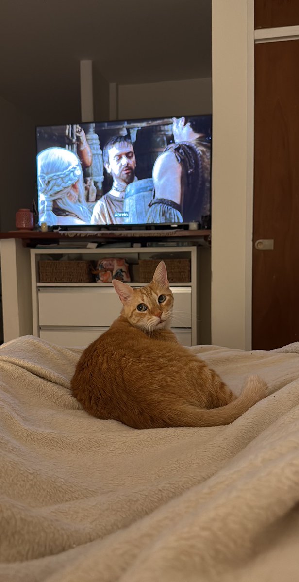 Qué lindos los sábados a la noche de pachorra, delivery y dormirnos temprano.