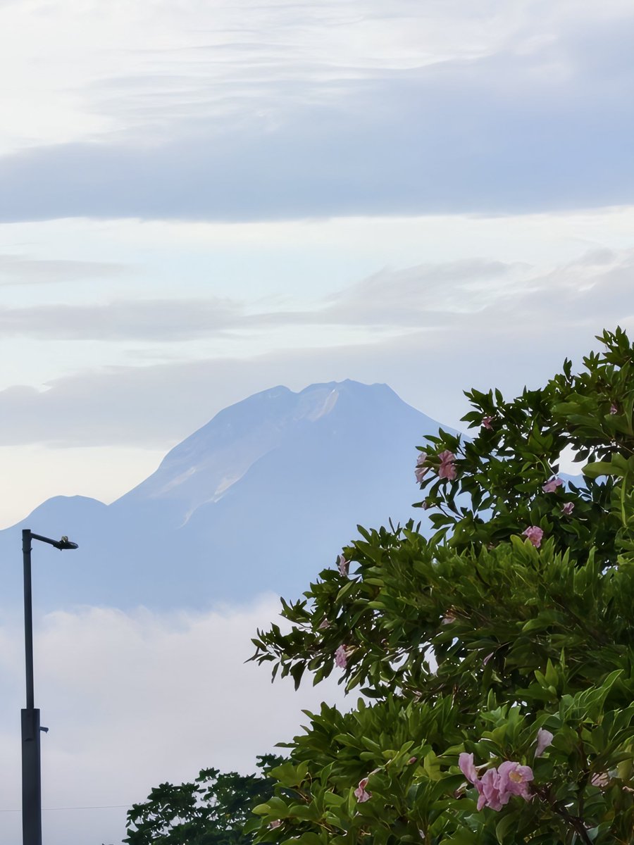 RoxyEspiritu1's tweet photo. The majestic Mt. Apo β€
.
.
.
#mtapo
#photooftheday https://t.co/5McaME1Zn3