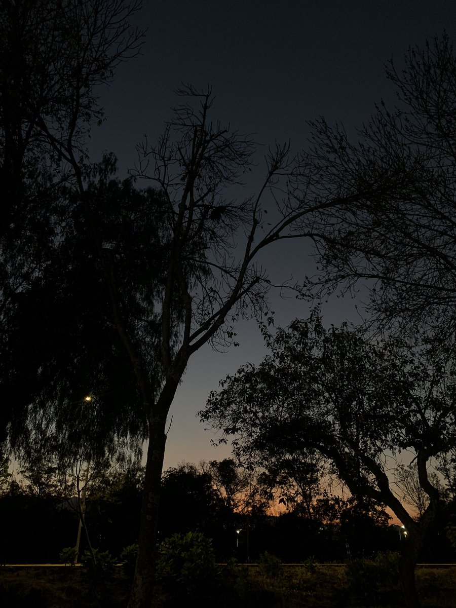 jaimesoler.bsky.social (@jaimesolerf) on Twitter photo 