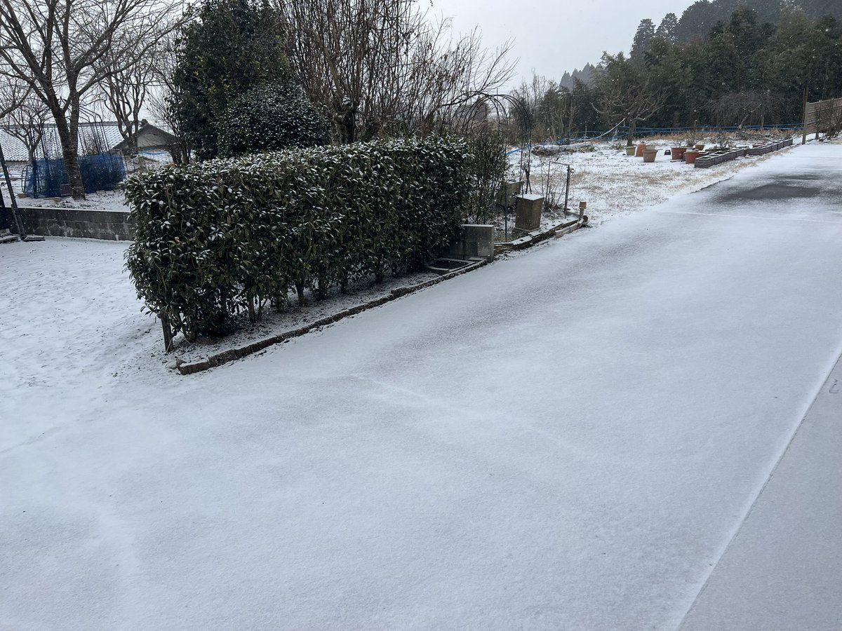marunora's tweet photo. 南阿蘇も雪が積もってきた https://t.co/IDXv8hICjN