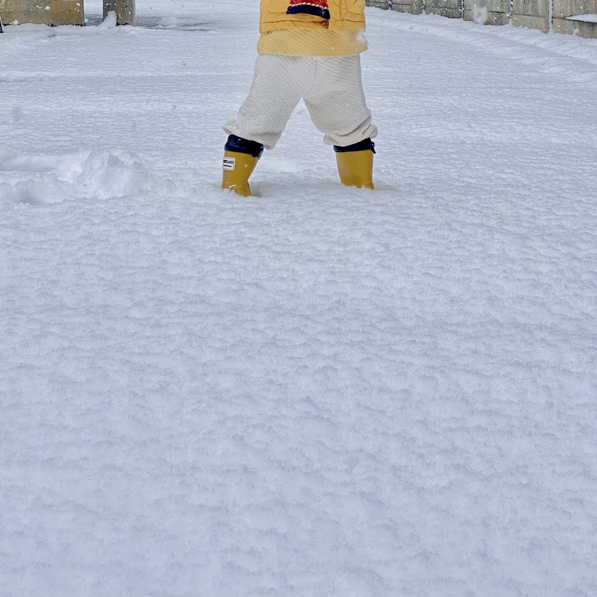 めちゃ雪！！！！