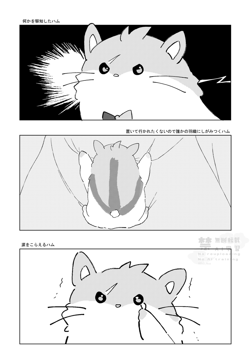 ハムちゃん色々