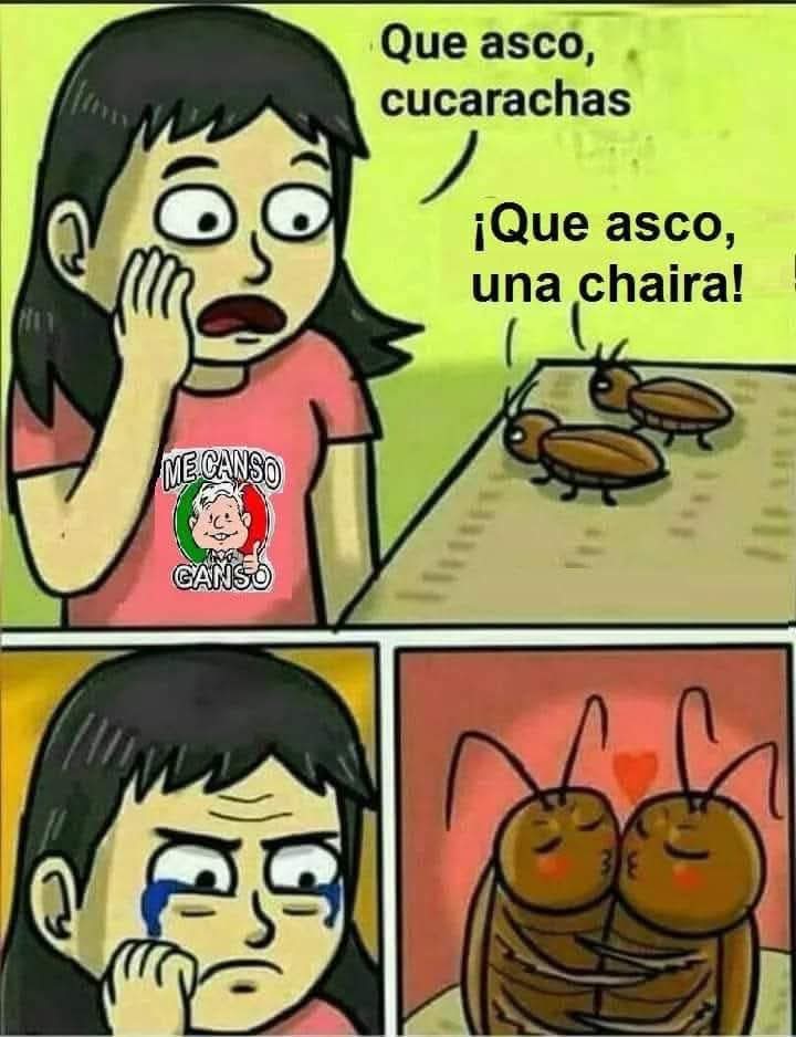 Te Quiero un Chingo Internet 😂😂😂