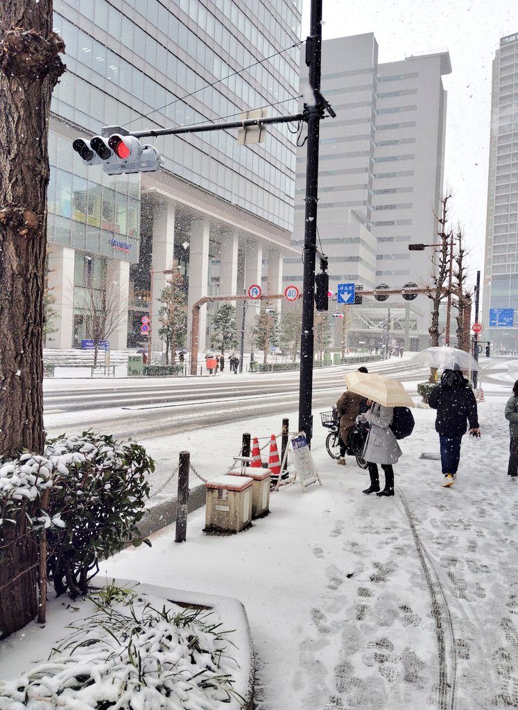 東京ってこんなに雪降るんですか…
出発した時俺半袖ですよ？