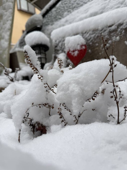 Twitterのコスプレ画像27