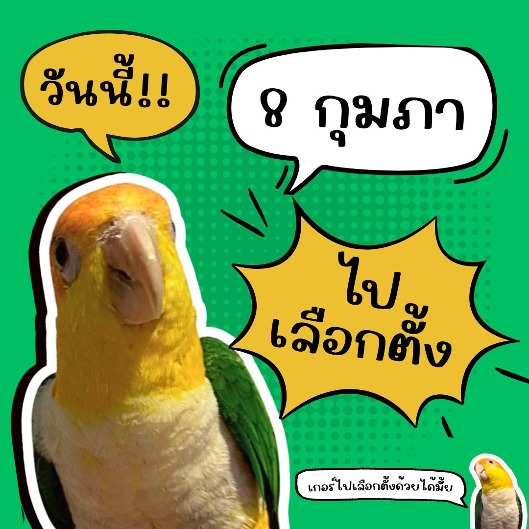 วันนี้ ‼️ อย่าลืมตรวจสอบสิทธิ เตรียมเอกสารให้พร้อม วางแผนเวลาเดินทางล่วงหน้า ชวนครอบครัวและคนรอบตัวออกไปใช้สิทธิเลือกตั้งร่วมกัน ... ออกไปใช้สิทธิของท่าน เพื่อร่วมกันสร้างอนาคตที่ดีไปด้วยกันนะคะ ✨ ✍🏻🗳️

#เลือกตั้ง2569 #เลือกตั้ง69 
#8กุมภากาเพื่อเปลี่ยน #8กุมภากาเห็นชอบ