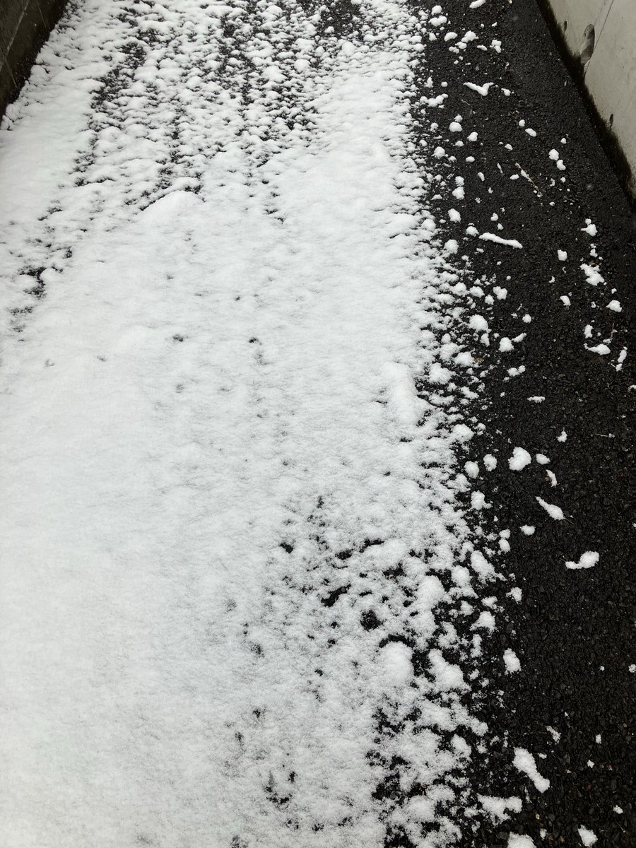 kvc_v's tweet photo. ⛄️ https://t.co/62MW7nXllw