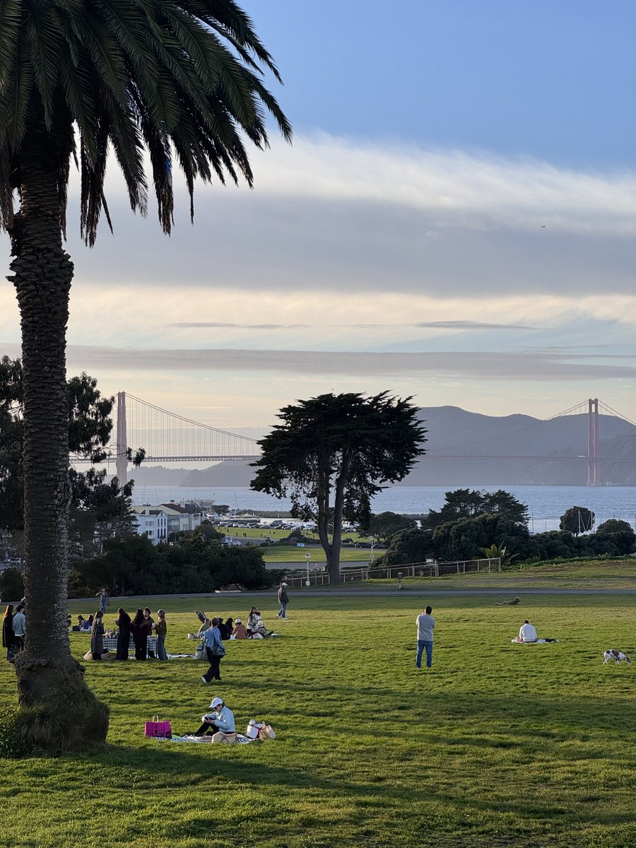 Nikolai Madlener tweet media