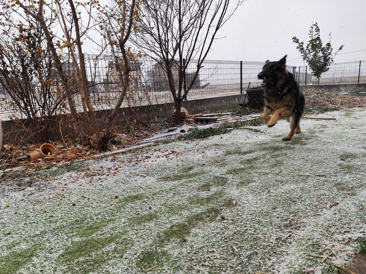 ヒャッホー！！