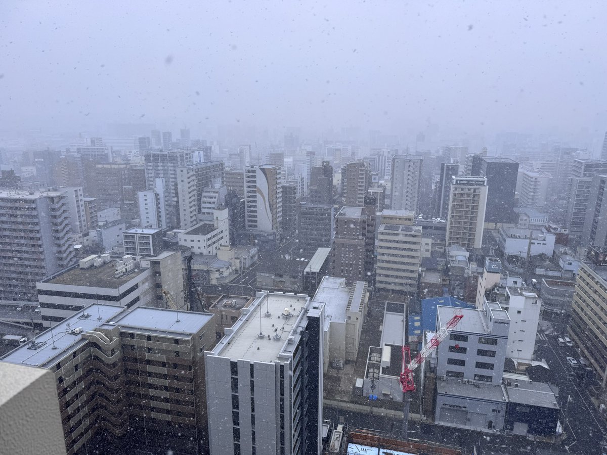 ゆたんぽ tweet media