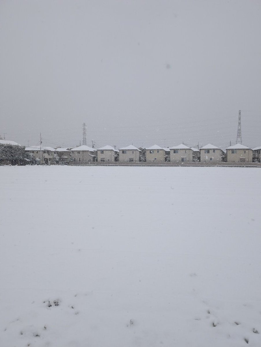 古我望 tweet media