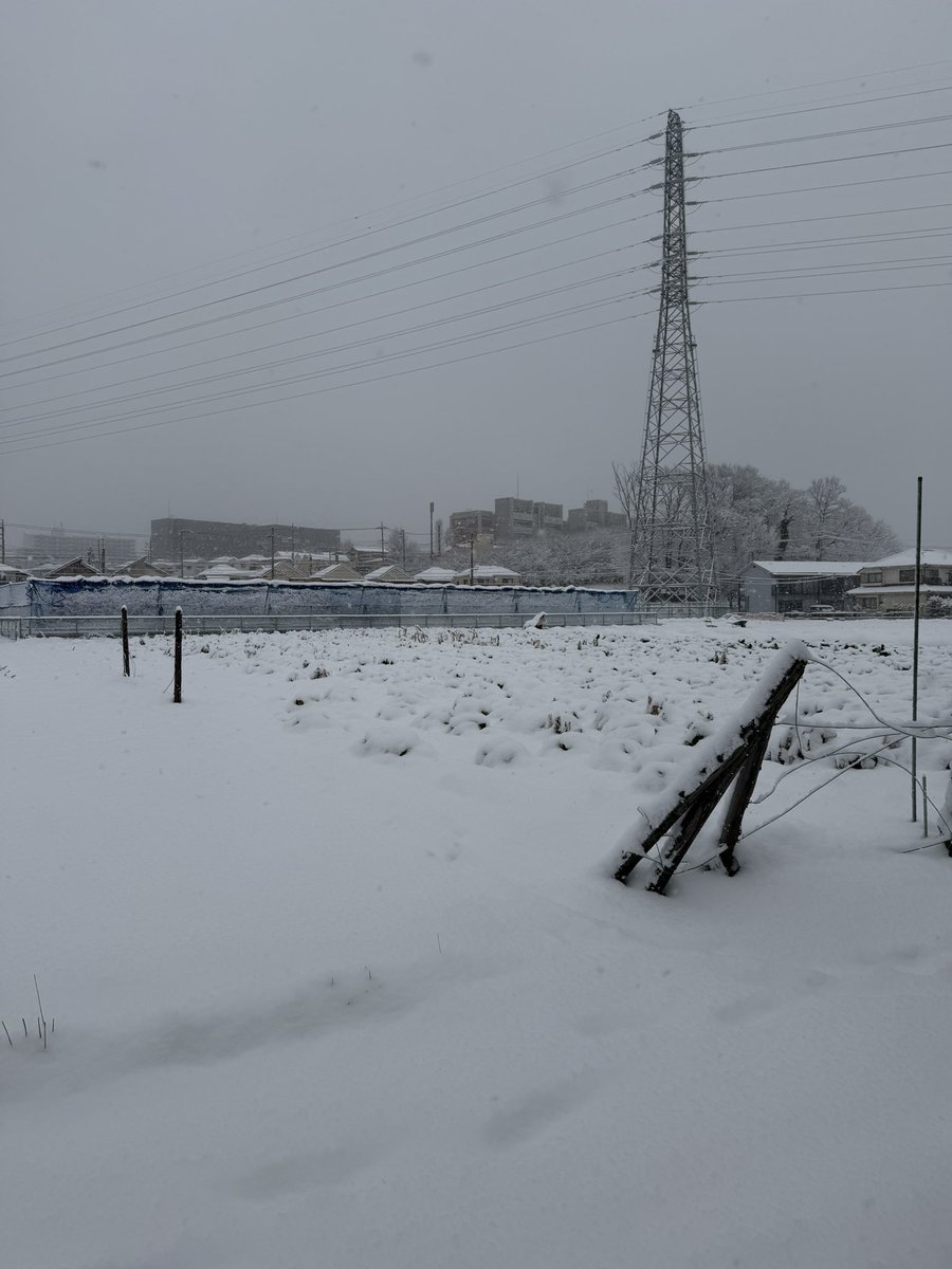 ★★HARU★★ tweet media