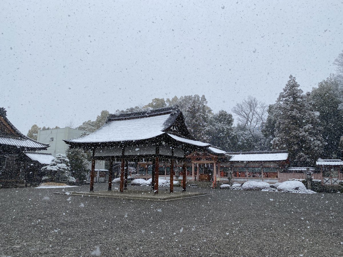 DON__IMP's tweet image. 選挙いってきた
バンドメンバーの皆ちゃんと選挙いく人でよかった
京都では珍しく雪⛄️