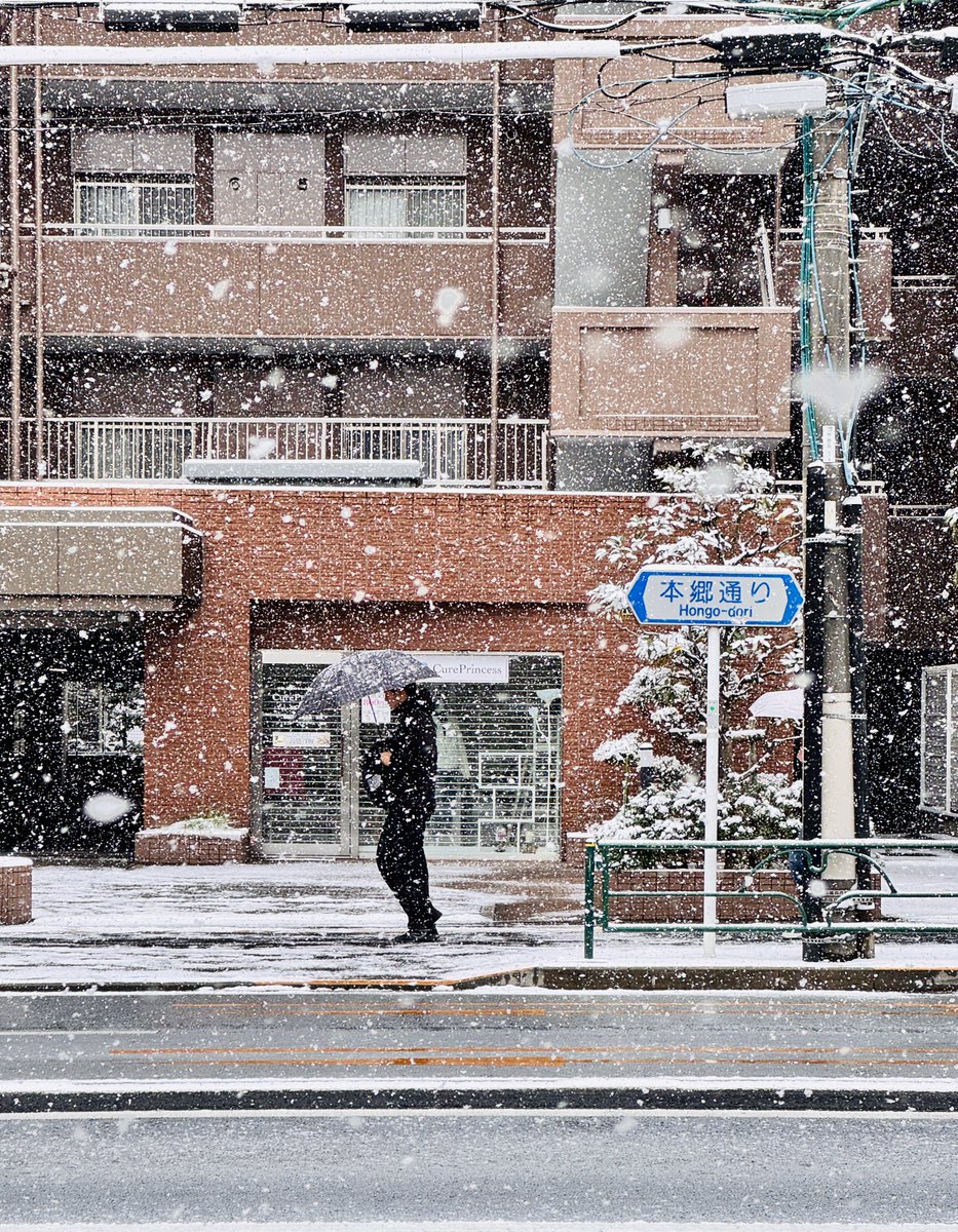 20260208

도쿄도 분쿄구. 2-3년마다 한 번씩 찾아오는 도쿄의 폭설. 오늘 같은 날은 무조건 버스와 유리카모메는 피해야만 한다☃️