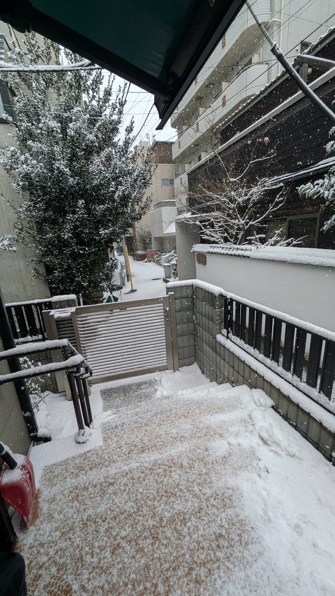 flyman_thunder_M2 tweet media