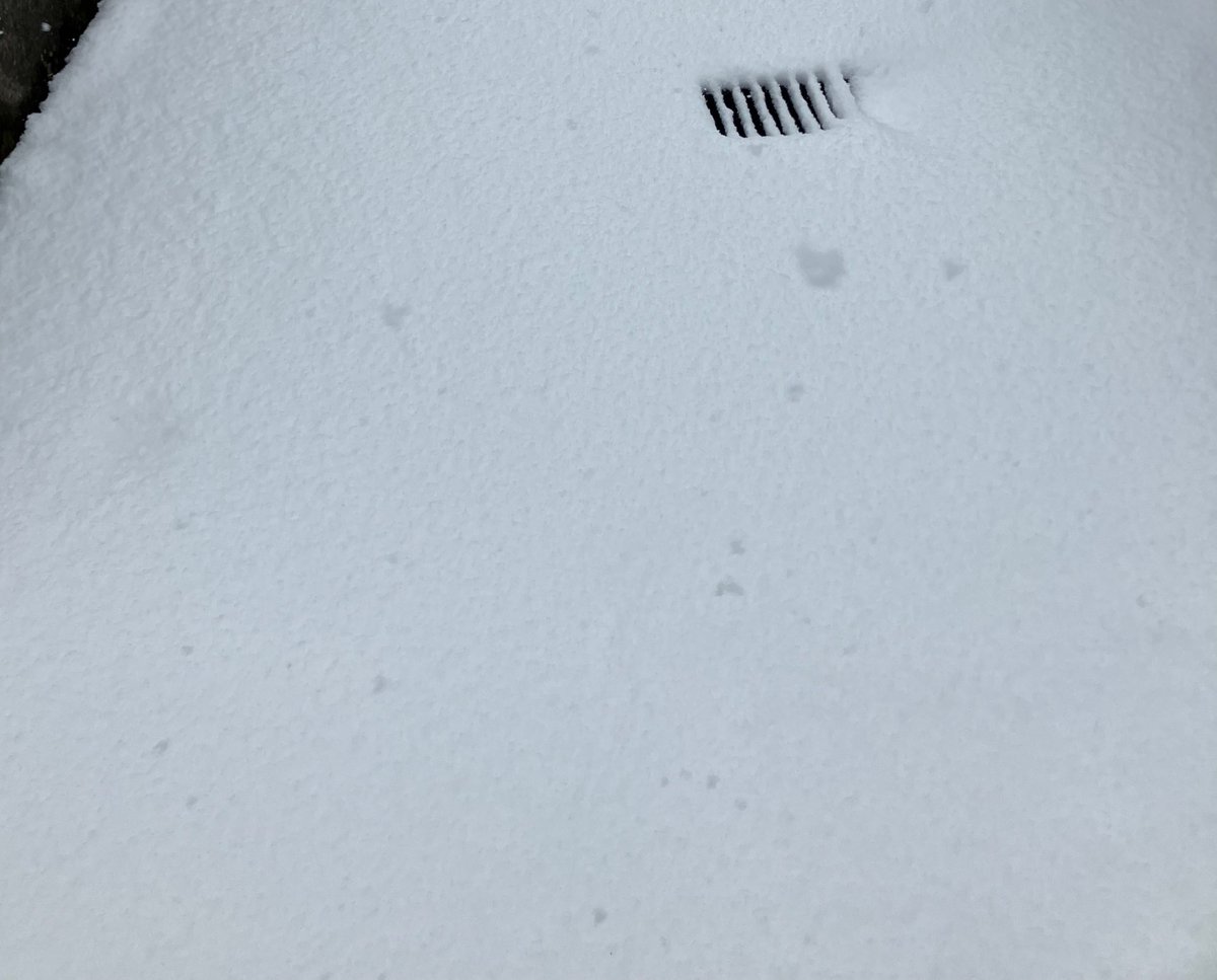 雪全然止みそうにないどころか止むの待ってたらめっちゃ積もりそう