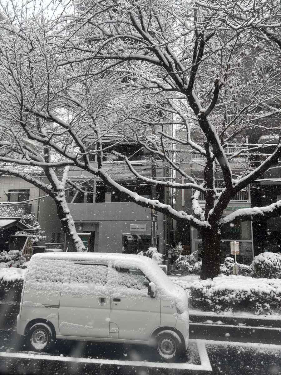FKYM0411's tweet photo. 雪すごいけど今日はアレン様に会えるから早めに家でた！
娘生まれてから1人でイベントとか本当久しぶりだから死ぬほど楽しみ！！！
旦那、娘、チケットお譲り下さった方に感謝しながら雪道歩きましたん⛄️
バスも電車も無事に乗れたし座れたし幸先よき！！！ https://t.co/BLWGQJxlwa
