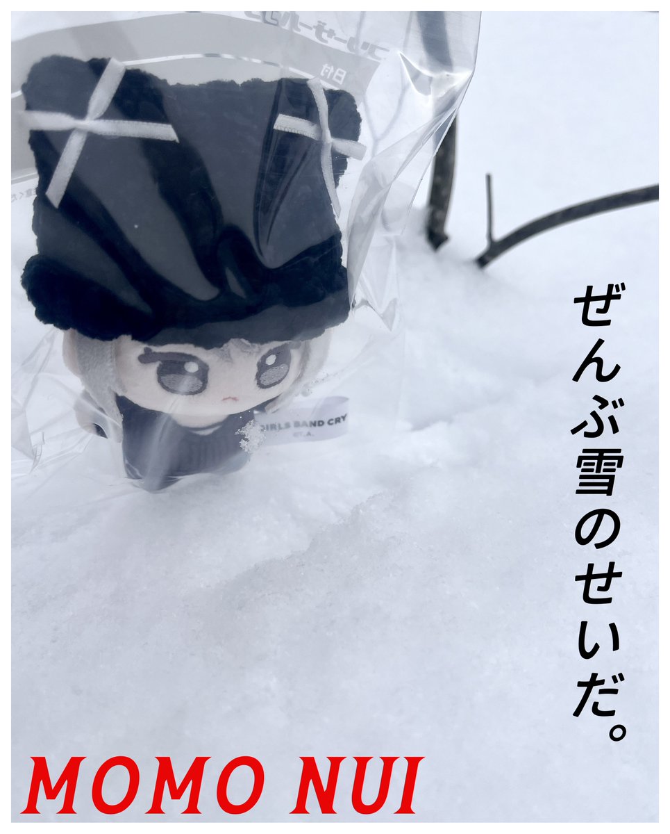 丼 (@cho_nekura) on Twitter photo 